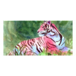 Carte photo rose d'aceo de tigre cartes avec photo