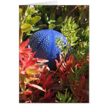 Carte photo sous-marin d'art de blanc de jardin