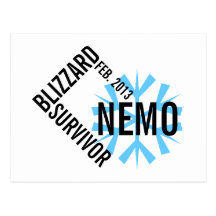 Carte postale 2013 de survivant de Nemo de tempête