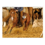 Carte Postale 4 de Cabernet CHA d'accessoires