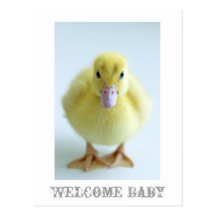 Carte postale bienvenue de bébé