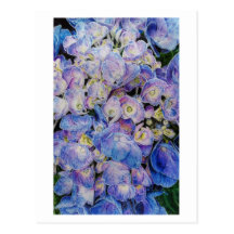 Carte postale botanique d'art d'hortensia bleu