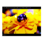 Carte postale d'abeille