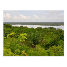Carte postale d'arrière - plan de forêt tropicale