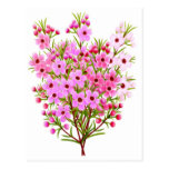 Carte postale de bouquet de fleur de cire