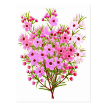 Carte postale de bouquet de fleur de cire