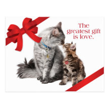 Carte postale de chats de vacances