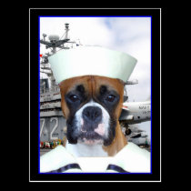 Carte postale de chien de boxeur de marin de marin cartes postales