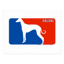 Carte postale de chien de ligue de Saluki