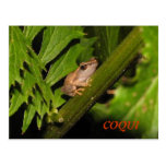 Carte postale de Coqui