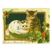 Carte postale de cru de chatons de Noël