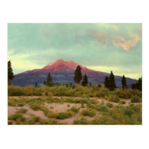 Carte postale de cru de Shasta de bâti