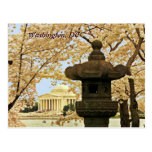 Carte postale de fleurs de cerisier de Washington