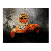 Carte postale de Kool KAT