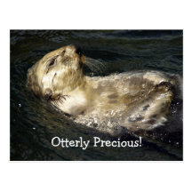 Carte postale de loutre de mer