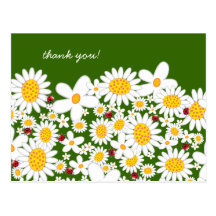 Carte postale de Merci de marguerites blanches et 
