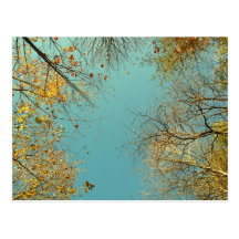 Carte postale de nature