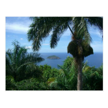 Carte postale de paumes