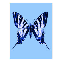 Carte postale de podalirius d'Iphiclides