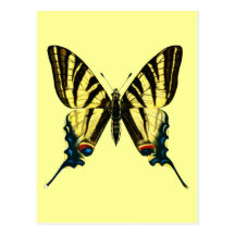 Carte postale de podalirius d'Iphiclides