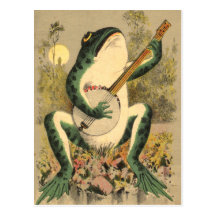 Carte postale de sérénade de grenouille