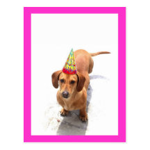 Carte postale de teckel de joyeux anniversaire