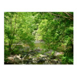 Carte postale de vue de rivière de Patapsco