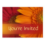 Carte postale d'invitation de couleur de chute