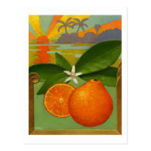 Carte postale d'oranges