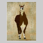Carte postale en bronze de lama cartes postales