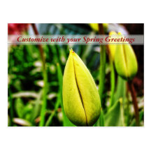 Carte postale jaune de tulipes de salutations de r