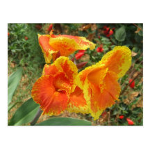 Carte postale jaune-orange de fleur