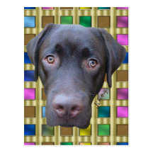 Carte postale Labrador Jimmy