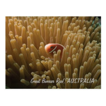 Carte postale mignonne de Clownfish