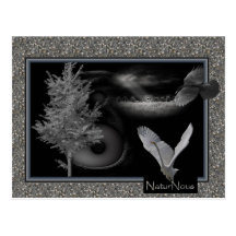 carte postale noir et blanc