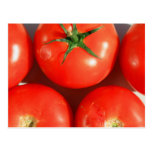 Carte postale rouge de tomates
