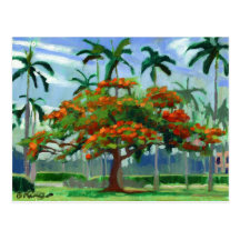 Carte postale royale de Poinciana