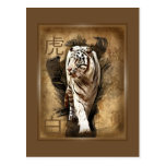Carte postale tigre blanc