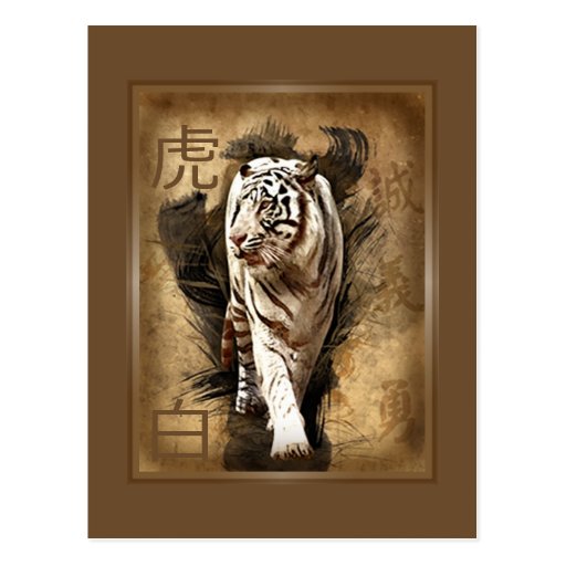 Carte postale tigre blanc
