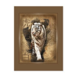 Carte postale tigre blanc