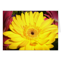 Carte pour notes