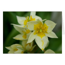 Carte pour notes blanc et jaune de fleur