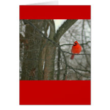 carte pour notes, cardinal rouge intelligent sur l