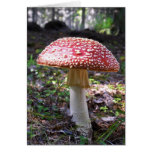 Carte pour notes-Champignon