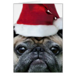 Carte pour notes de chien de carlin de Noël