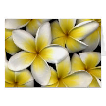 carte pour notes de frangipani
