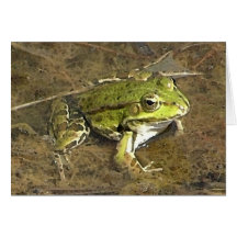 carte pour notes de grenouille