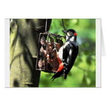 Carte pour notes : Pivert masculin sur le conducte