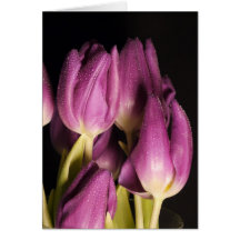 Carte pourpre de tulipes
