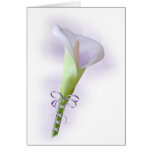 Carte pourpre en pastel de zantedeschia
